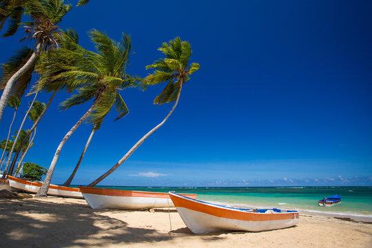 Paradise beach with fishing boats, white sand, palm trees and blue water of Atlantic Ocean, Las Terr