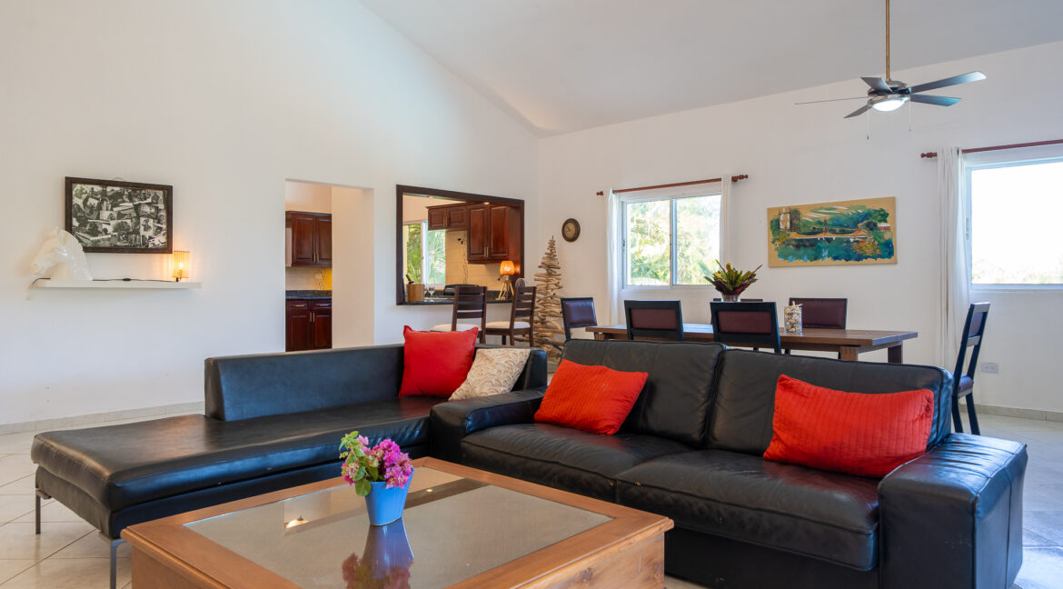 DSC03704